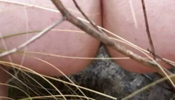 Acción de Gracias llena de semen