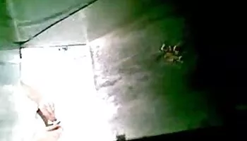 Linda pareja de lesbianas universitarias jugando unos a otros
