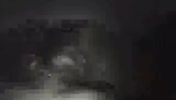Arbusto o desnudo